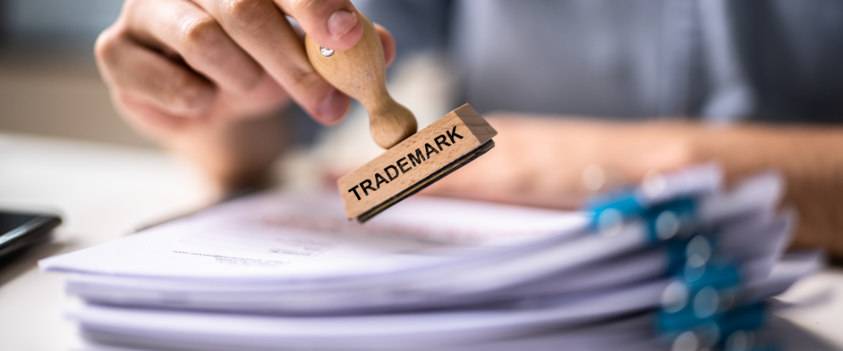 Identifying and protecting intellectual property